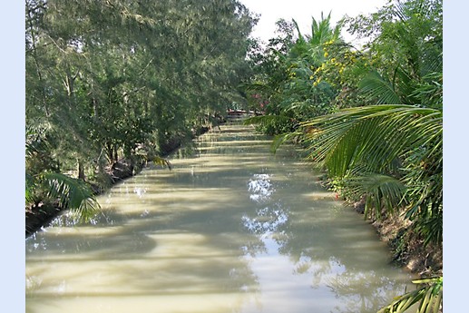 Viaggio in India 2008 - Sunderbans